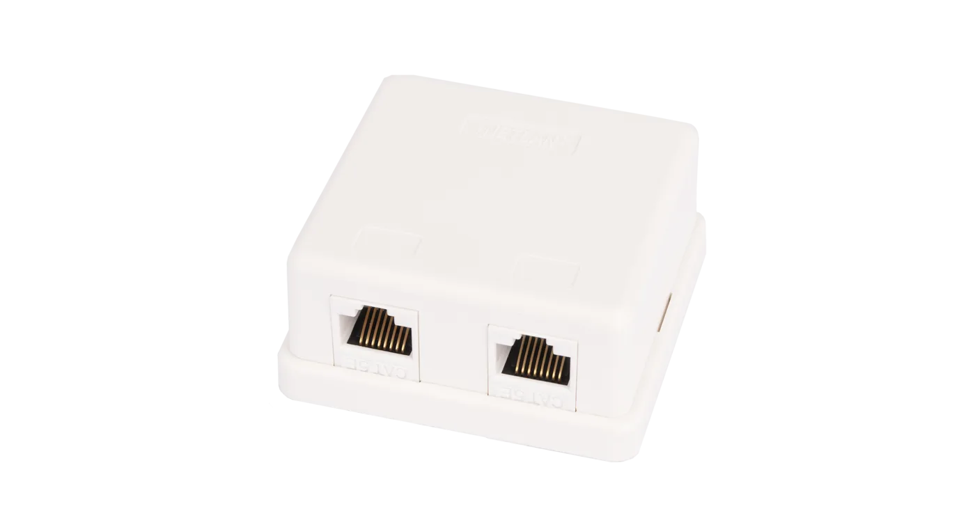 Розетка NETLAN, 2 порта, Кат.5e (Класс D), 100МГц, RJ45/8P8C, 110, T568A/B, неэкран.