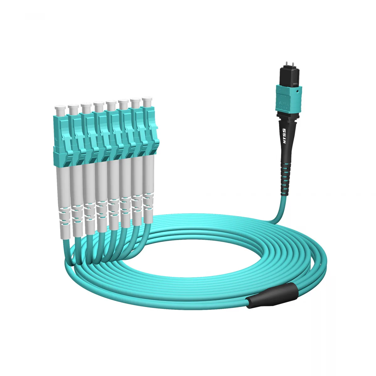Волоконно-оптическая сборка fan-out NTSS PREMIUM 12ов, MTP/UPC (female)-LC/UPC, 50/125 OM3, вывод 1м, буфер 2.0мм, 15м, LSZH