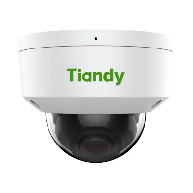 TC-C34KN Spec:I3/A/E/Y/2.8-12mm/V4.2 уличная купольная IP-камера видеонаблюдения с встроенным микрофоном Tiandy