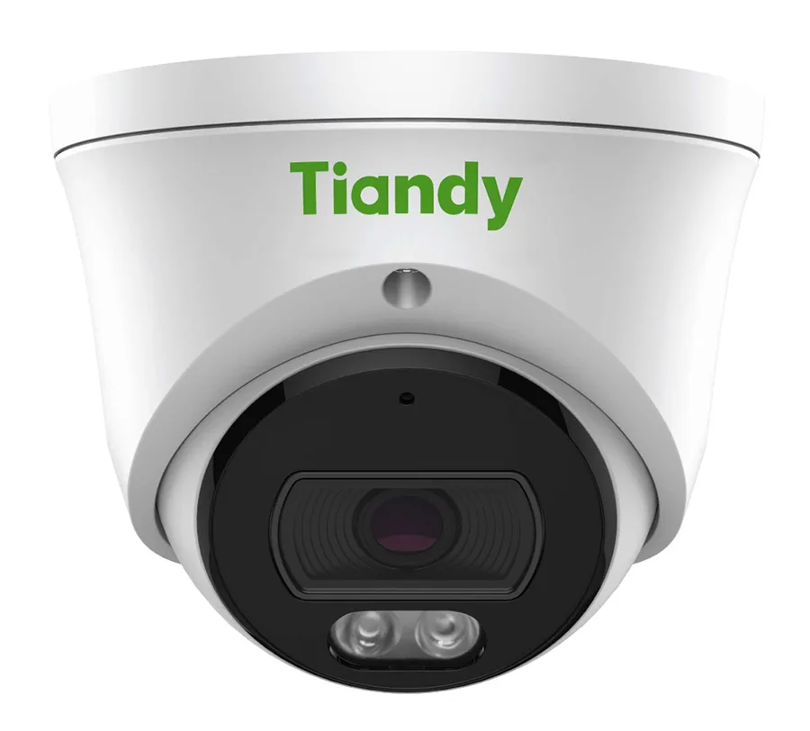 TC-C320N Spec:I3/E/Y/2.8 mm уличная купольная всепогодная IP-камера видеонаблюдения с встроенным микрофоном Tiandy
