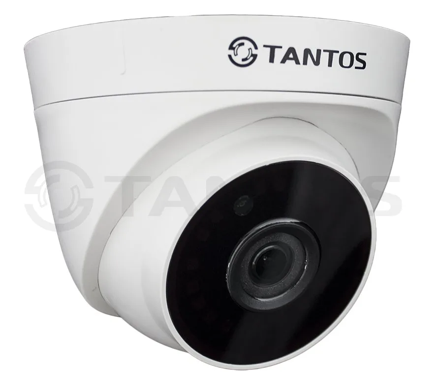 TSi-Eeco25FP купольная внутренняя IP-камера видеонаблюдения Tantos